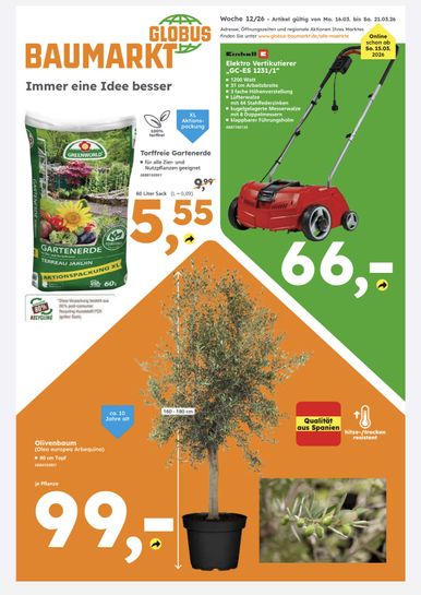 grow your own plant kits Grow Your Own Kit: Coffee Tree main image 1