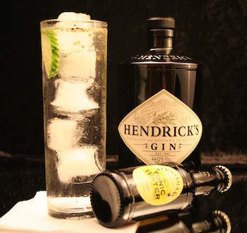 hendricks gin