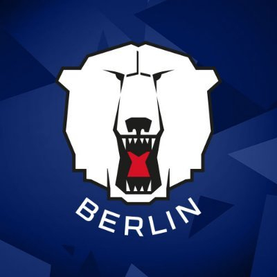 Berlin-brandenburg-ticket für single preis