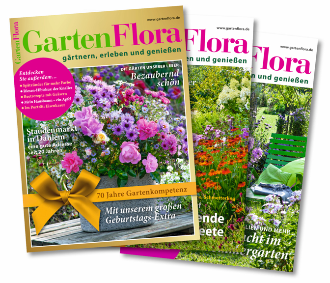 3 Ausgaben Garten Flora Print Kostenlos Selbstkundigend Mydealz De