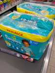 Pampers Baby-Dry Maxi Pack (Offline Kaufland)