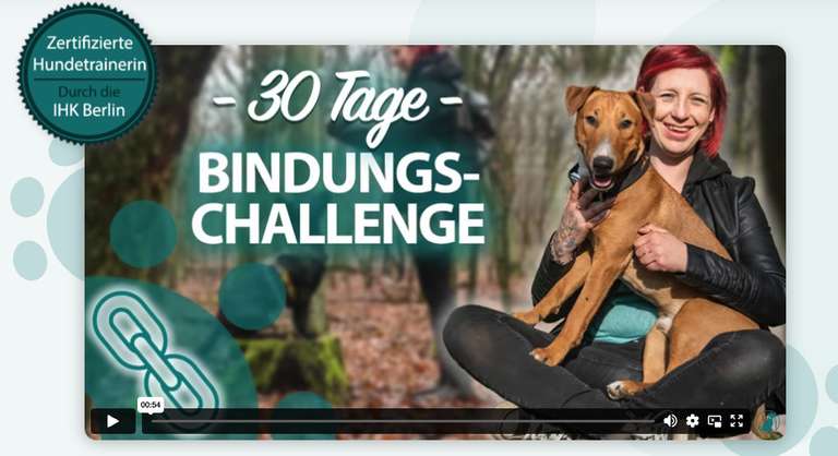 50% Rabatt auf Online Hundetraining - 30 Tage Bindungskurs für 48,50€
