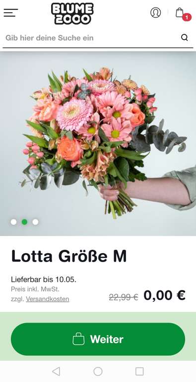 Blume 2000 Osterstrauß - nur 4,99 € Versandkosten bezahlen