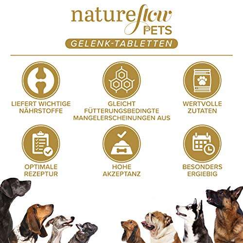 Gelenktabletten Hunde – Made in Germany mit Grünlippmuschel, MSM und Teufelskralle - Keine Kapseln, hohe Akzeptanz - 100 Stück - prime