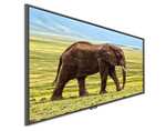 Samsung QLED Q85Q80A 85 Zoll 4K UHD Smart TV Modell 2021 Gute 85 Zoll Samsung Glotze für kleines Geld