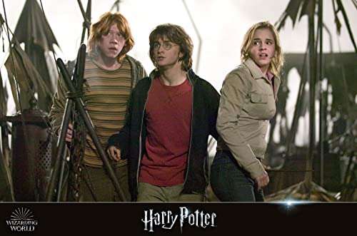 (4k Blu-Ray) Harry Potter 8-Film Kollektion + Phantastische Tierwesen 3-Film Kollektion * Wizarding World 11-Film Collection