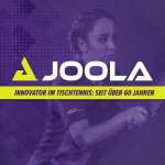 Joola Tischtennisplatte World Cup 22 Indoor Tischtennistisch Grün