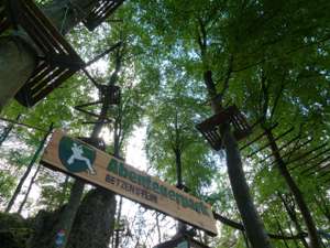 Freizeitpark Betzenstein Gutschein: Deutschlands Premium Kletterwald