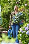 [Prime]Floragard Endless Summer Hortensienerde blau 2x20 L • zum Pflanzen und Umtopfen