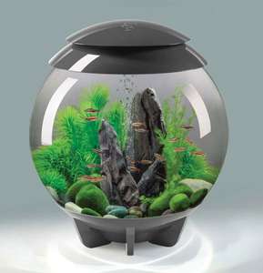 biOrb "HALO 30" | 30L Nano-Aquarium Komplettset in grau | mit Filter-System, LED-Beleuchtung & Keramik-Kies | robustes Acryl-Glas [Zooroyal]