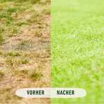 COMPO Rasendünger mit 3 Monaten Langzeitwirkung - 20kg für 800m² - Frühjahr und Sommer – Premium Rasen-Langzeitdünger