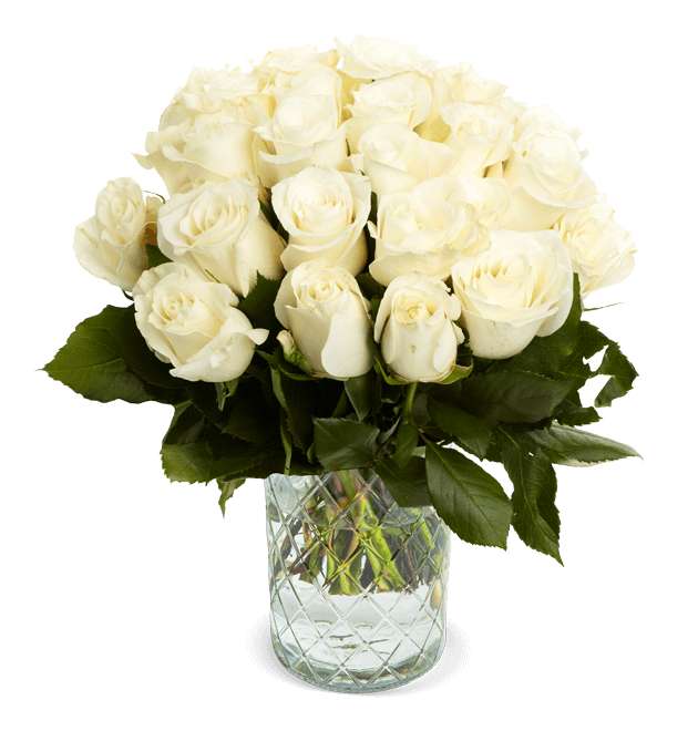 50 weiße Rosen für 28,98€ inkl. Versand | 7 Tage Frischegarantie | Wunschtermin wählbar