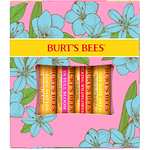 (Prime) Burt's Bees Lippenbalsam-Geschenkset, Bienenwachs, Erdbeere, Tropische Ananas, Drachenfrucht-Zitrone, 4 x 4,25 g