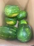(LOKAL Kaufland in Gelingen) Wassermelone XL
