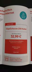 Bestandskunden Vodafone Internet Kabel Aktion 250 Mbit für dauerhaft 32,99€ mtl.