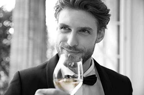 Brut Dargent oder ICE - Chardonnay Sekt Brut, trocken Sekt aus Frankreich 0,75l 11,5% vol. (Prime, Spar-Abo)