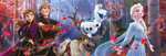 [LOKAL - Aldi Nord] Verschiedene Clementoni Disney Panorama Puzzle für je 5,99€ (1000 Teile, Marvel, Mickey Mouse, Frozen uvm.)