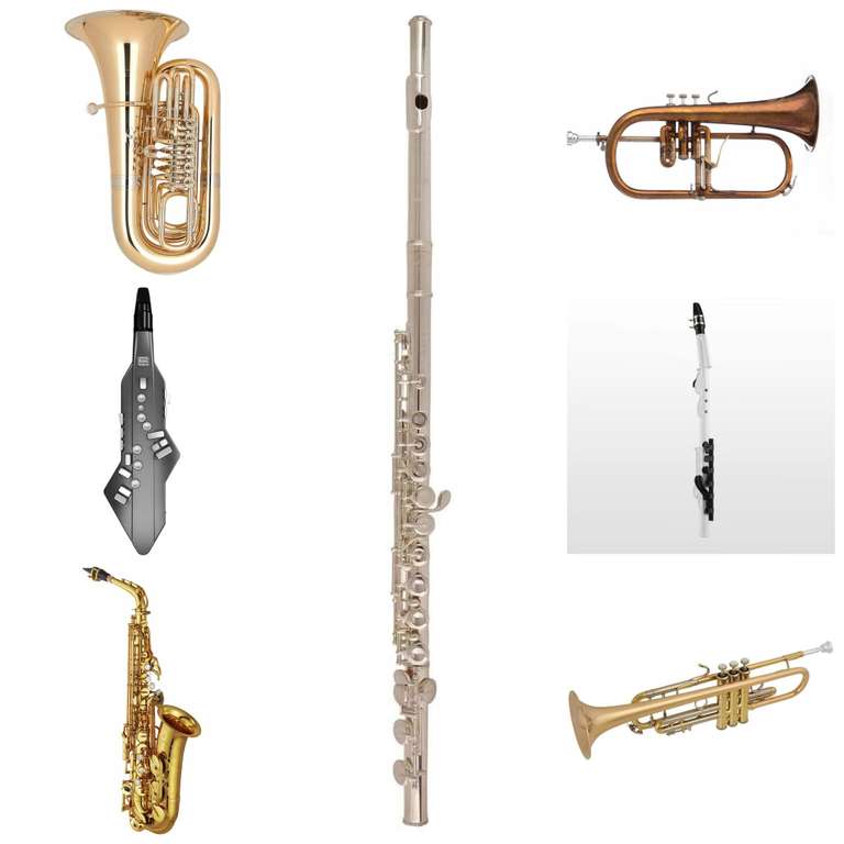 Blasinstrumente Sammeldeal (7), z.B. Pearl Flute PF-F665 E Forza Premium Select Querflöte inkl. Tasche [Session]