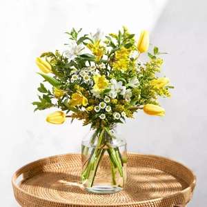 Ellen (Kreativ Blumenbox) oder Feder Tulpen inkl. Versand für 10€ + 15% TopCashback