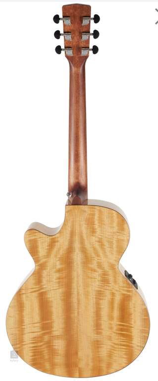 Cort AF590MF OP, Westerngitarre mit Tonabnehmer für 169€ | Cort SFX-Myrtlewood NAT 424€ | Fender CC-60SCE Concert LH für 229€