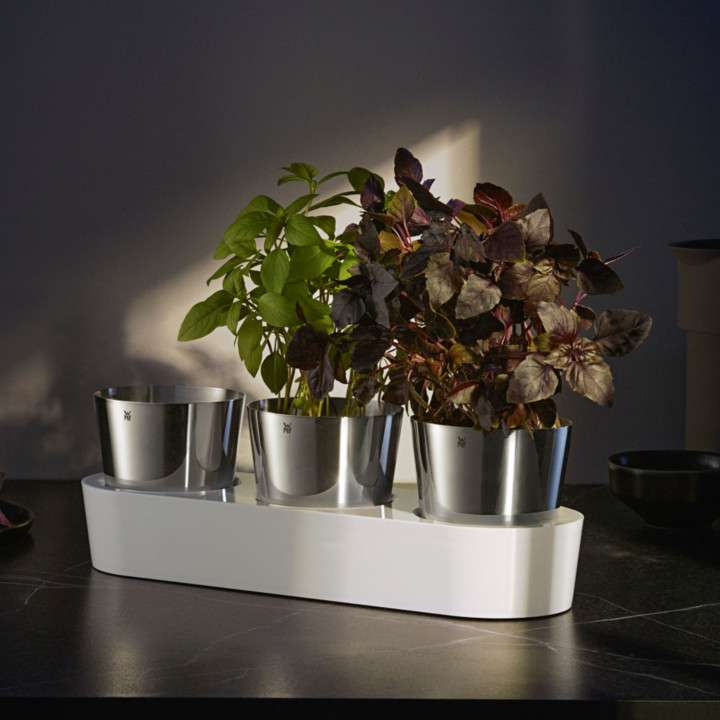 [Lokal] [Wolfsburg] WMF Kräutergarten Gourmet 3tlg.