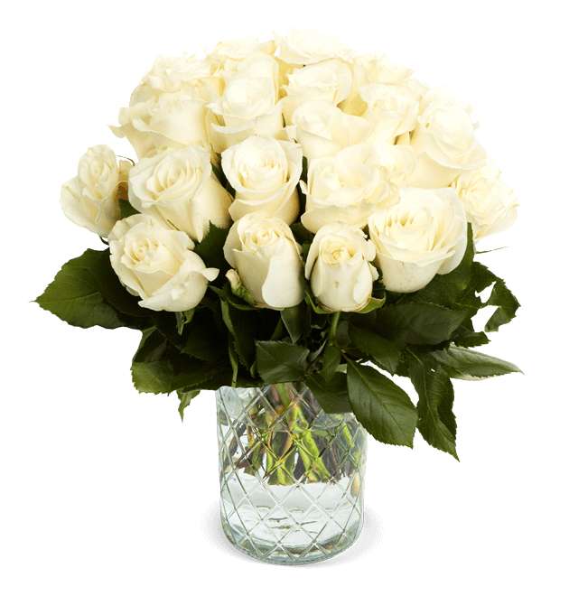 [Blumeideal] 44 weiße Rosen (40cm Länge)