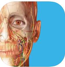 Atlas der Humananatomie 2023 / Muscle Premium und Anatomie & Physiologie für je 0,99€ (iOS + Android)