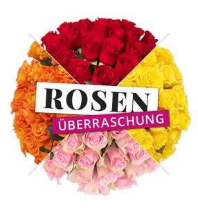 [Blume Ideal] 50 Rosenüberraschung (40 - 50cm) für 23,99 € + zzgl. Versand