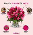 RomanticRoses | 50 rot-pinke Rosen (40-50cm Länge, 15cm entdornt und angeschnitten) - 7 Tage Frischegarantie!