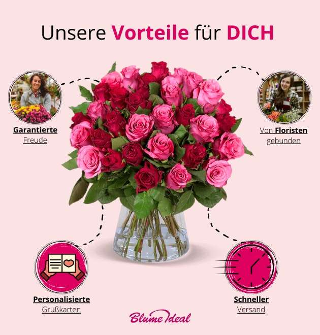 RomanticRoses | 50 rot-pinke Rosen (40-50cm Länge, 15cm entdornt und angeschnitten) - 7 Tage Frischegarantie!