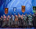 20% Rabatt auf Harry Potter und das verwunschene Kind in Hamburg Theaterstück