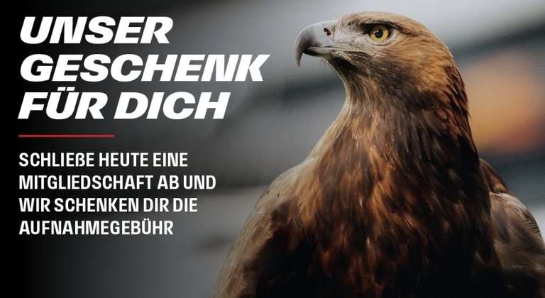 SGE Eintracht Frankfurt - Aufnahmegebühr geschenkt (Mitgliedschaft)