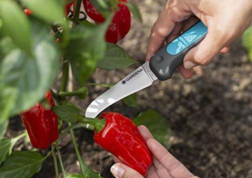 Gardena Aktion: Erntemesser VeggieCut: Messer aus Edelstahl zum Ernten, Putzen & Schälen von Gemüse, inkl. Schleifer & Holster (Prime)