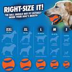 (Prime) Chuckit! – Ultra Ball Medium – 1 Jagdball für Hunde – Robuster und vielseitiger Ball, schwimmt