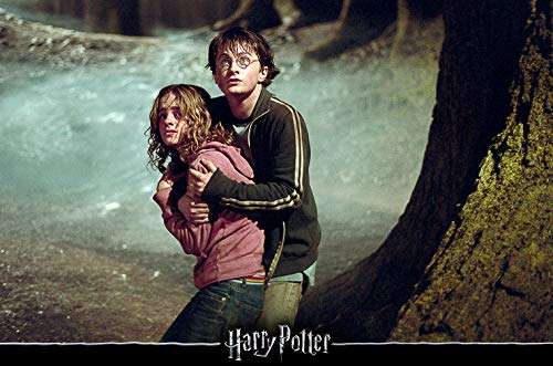 Harry Potter: The Complete Collection - Jubiläums-Edition (Blu-ray) für 26,87€ (Amazon Prime)