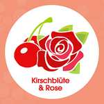 Sagrotan Samt-Schaum Seife Kirschblüte & Rose – 1 x 250 ml Schaumseife im Seifenspender (Prime Spar-Abo)