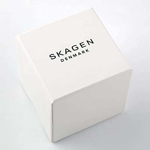 Skagen SKW6006 Melbye Day-Date Herrenuhr 40mm Edelstahl Titan Mineralglas Quarzuhr