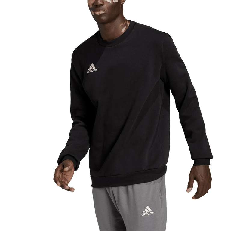 Adidas Sweatshirt Entrada 22 (in verschiedenen Farben) für 19,99 Euro inklusive Versandkosten (anstatt 27 Euro)