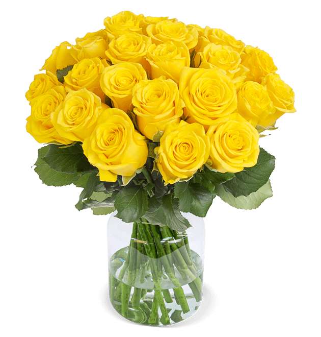50 gelbe Rosen | 50cm Länge | Blumenversandkarton mit Wasserversorgung