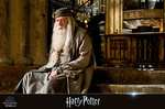 Wizarding World 10-Film Collection [Blu-ray] - Harry Potter und Fantastische Tierwesen