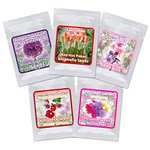 Geschenk Anzuchtset - Blütenzauber 5 Kontinente Box - zum Selberzüchten oder verschenken