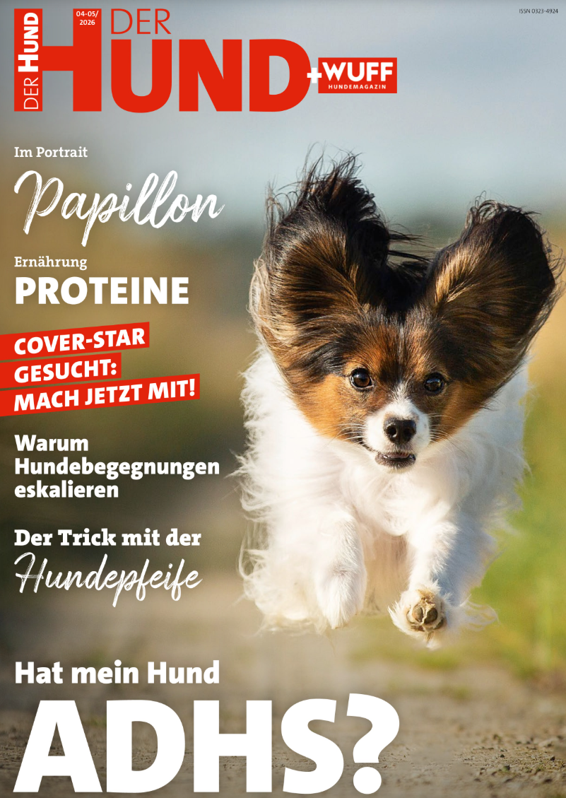 Der Hund Abo (8 Ausgaben) für 39,40 € mit 30 € BestChoice- oder 35 € Zalando-Gutschein