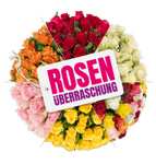 Rosen-Überraschung mit 50 Rosen (40-50 cm Länge)