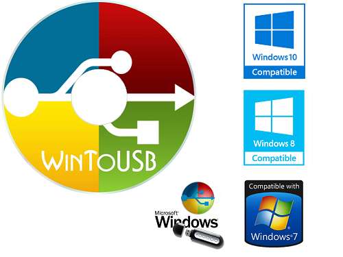 Hasleo WinToUSB Professional | 1-Jahres-Lizenz für 2 PC | für Windows 11/10/8/7 | aktuelle Version 8 gratis