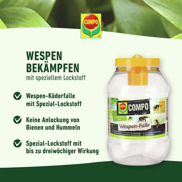 wiesenkräuter saatgut Großer Wiesenknopf Saatgut – Staude online main image 0