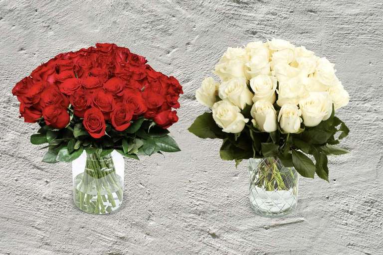 [Blumeideal] 40 rote Rosen "ClassicRed" (40cm Länge) oder 44 weiße Rosen (40cm) für 25,95€ inkl. Versand