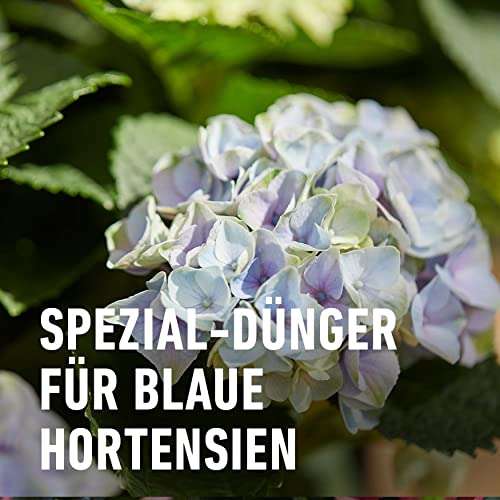 [Prime] Compo Blaue Hortensien Dünger, Wasserlöslich, Aktivierung des Blaufarbstoffs, 800 g