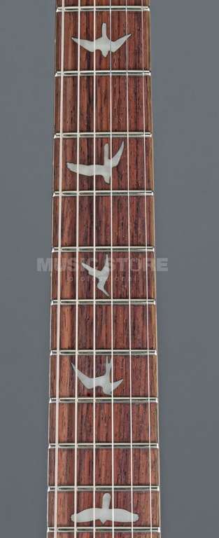 PRS SE Custom 22 Semi-Hollow E-Gitarre, Farbe Black Gold Burst