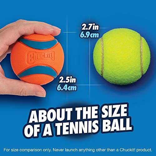 (Prime) Chuckit! – Ultra Ball Medium – 1 Jagdball für Hunde – Robuster und vielseitiger Ball, schwimmt