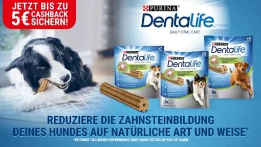 (Ab 09.01.) DentaLife Hundefutter Gratis Testen [GzG bis zu 5€]
